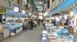 강진군도서관, 여름방학 무료 독서문화 프로그램 운영