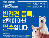 영천시, 동물등록 자진신고 기간 운영