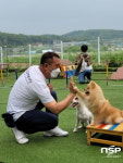 동물병원 간호보조사가 행동교정사도 겸임한다고