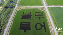 전남농업박물관, 농업테마공원에 ‘블루투어’ 논그림 눈길