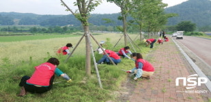 봉화군여성단체협의회, 환경정화 봉사활동 앞장