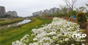 군산시, 쾌적하고 안전한 녹색 환경도시 조성 박차