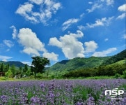 라벤다윤앤필, 농촌융복합산업 사업자 인증 획득