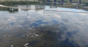 공주시, 환경오염배출업소 특별점검 실시