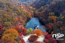 [가볼까]울긋불긋 단풍 절정 맞은 정읍 내장산...7~12일 절정 예상