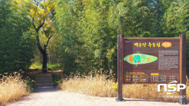 광양 옥룡면 추동섬, 장엄한 백운산과 눈 맞추는 곳