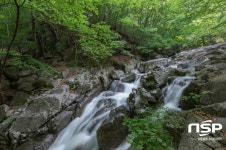 광양시 백운산 등산로 6코스, ‘걷고 싶은 전남숲길’ 선정