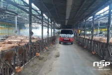 생태수도 순천, 재난형 가축전염병 철통 방역한다