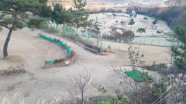 목포권에 전남 전용 36홀 파크골프장 조성 ‘절실’