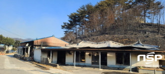 울진군, 산불피해 신고 접수 중