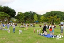 순천 조례호수공원, 반려견 산책 코스로 인기