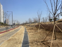시흥시, 배곧 완충녹지 1만2천그루 식재 ‘도시숲 리모델링’