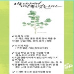 광양시, 비대면 금연상담 카카오톡 채널 운영