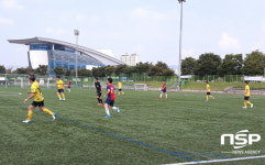 경주시, 제29회 시민 축구대회 개최