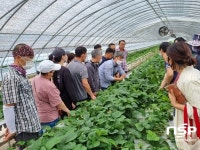 담양군, 지역농업 특화품목 딸기 수경재배 교육 실시