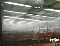 예천군, 축산농가 폭염 피해 대응 강화