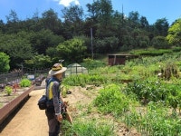 이기재 서울 양천구청장,주말에도 온수 근린공원 1~6지구 현장 점검