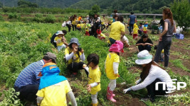 광양시, 농촌체험휴양마을에서 촌캉스