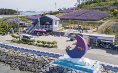 석모도농수산물판매장 | 신안군 퍼플섬에서 추석맞이 농수산물 판매장