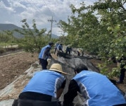 포항교육청 행정지원과, 농가일손돕기 구슬땀