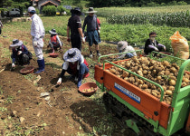 강원랜드, ‘생명사랑 녹색치유농장’ 프로그램 제공