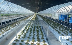 장수군, 농업기술보급 혁신 우수사례 경진대회 우수상 수상