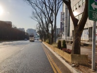 평택시, 수목 방풍벽 설치 및 공원시설물 사전점검