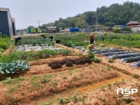 광주 본량농협, 총 90구획 주말농장 분양