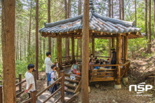 경주시, 건천편백나무숲 및 황성공원 숲해설 프로그램 시작
