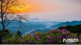 [가볼까]광양시 철쭉 만개한 백운산 국사봉…철쭉가요제·먹거리부스 등 운영