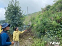장수군, 집중호우 대비 송천리 순환농업단지 현장점검