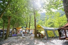 장수군 방화동 생태길, 산림청 ‘걷기 좋은 명품 숲길’ 선정