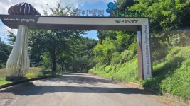 양양군, 송이밸리자연휴양림 엑스포 로드 경관조성 완료