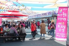 강진군 마량 미항 횟집거리,  방문의 달 맞아 감사 이벤트 실시