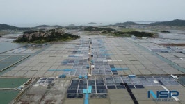 신안군, 과거와 미래를 잇는 문화유산 보수 정비로 빛내다