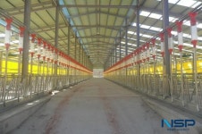 경북도, 축사시설현대화 및 ICT 융복합사업 253억원 지원