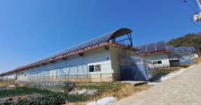 무안군 왕산리 태양광, 호남고속철2단계 발생암 피해 ‘논란