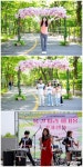 봄 길 따라 걷는 김포 애기봉
