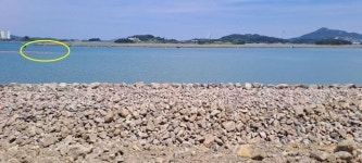 목포해수청, 해양환경 안전한 바다 ‘헛구호’ 국민알권리 ‘깜깜’