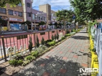 광양시, 광영초 통학로에  ‘자녀안심 그린숲’ 조성 완료