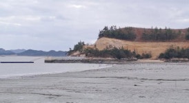 신안군, 자은도 관광 타운 ‘거짓’ 정보 공개 의혹...17억 회원권 관심