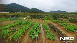 광양시, 2025년 도시민 주말농장 참가자 모집