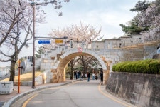 수원문화재단, 아름다운 수원화성 벚꽃길 즐겨요