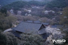 구례 지리산 대화엄사, ‘대화엄사를 세우다’ 학술대회 개최