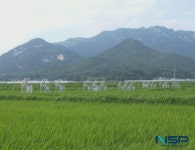 해남군“기후위기 잡는 착한 농산물”저탄소 농업 확산
