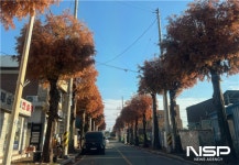 광양시, 신재로 가로수 전정으로 시민 안전확보‧생활불편 해소