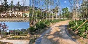 [이번 주말 어디가?]스타필드 고양 옆 2만 7536㎡ 숲길, 주말 나들이 장소로