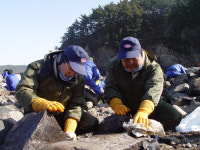 기아차 광주공장 노사, 태안복구 한마음