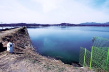 “돼지고기‥마네킹이 떠오른 줄 알았다”