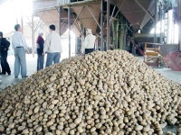 이명박대통령 식량기지 연해주진출 거론